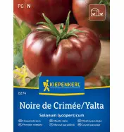 Pomidor mięsisty Noire de Crim&eacute;e/Yalta Kiepenkerl