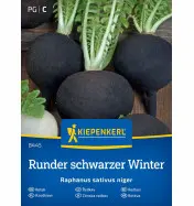Rzodkiew Runder Schwarzer Winter Kiepenkerl