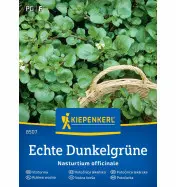 Rukiew wodna Echte Dunkelgr&uuml;ne Kiepenkerl