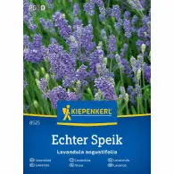 Lawenda Echter Speik Kiepenkerl