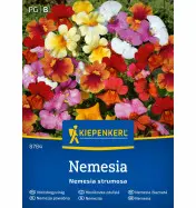 Nemezja powabna Nemesia Kiepenkerl