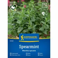 Mięta pieprzowa ,,Spearmint&rsquo;&rsquo; - Kiepenkerl
