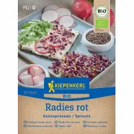 Rzodkiewka czerwona (Radies Rot) &ndash; nasiona na kiełki