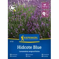 Lawenda wąskolistna Hidcote Blue nasiona - Kiepenkerl