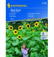 Słonecznik zwyczajny 'King Kong'