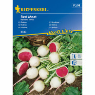 Rzodkiewka 'Red Meat' | Kiepenkerl