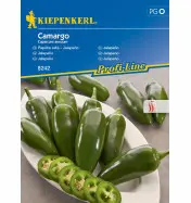 Papryka Jalape&ntilde;o 'Camargo'