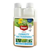 Starane Trawniki, środek zwalczający chwasty na trawniku &ndash; 250 ml | Target